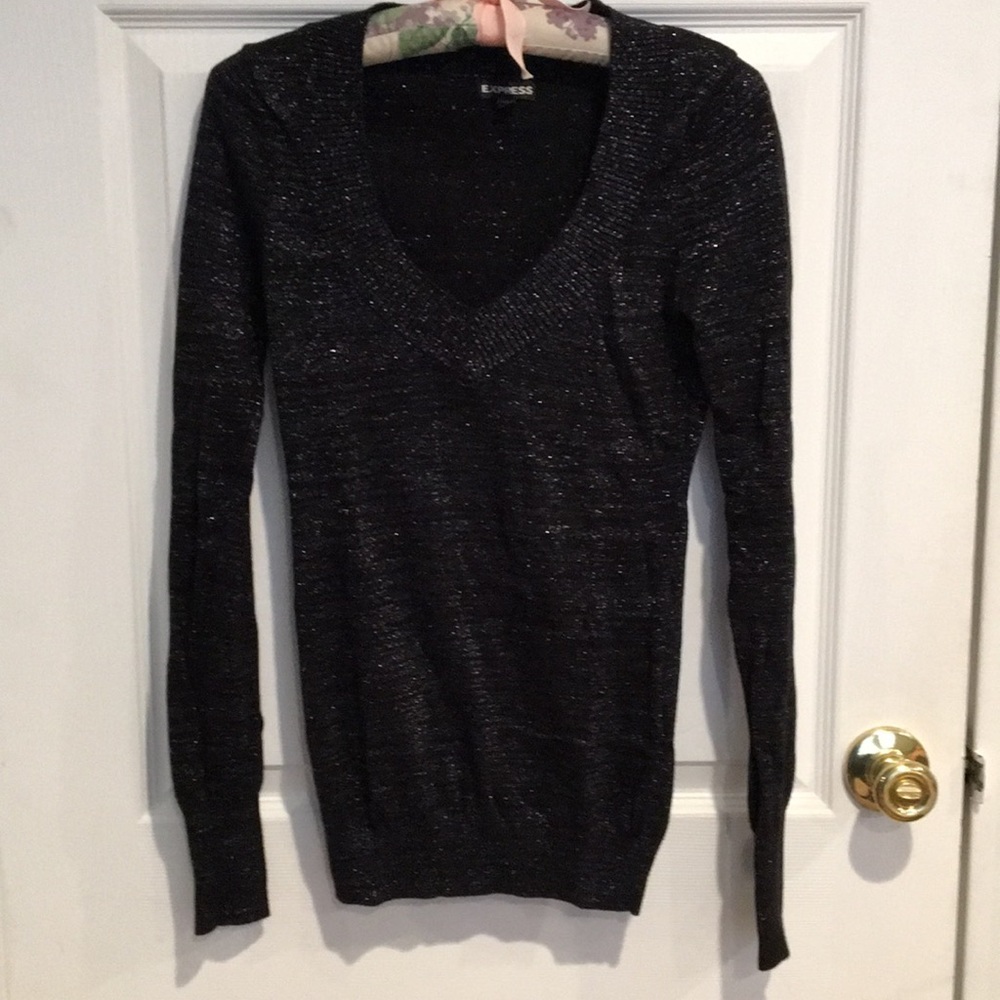 Express VNeck Sweater